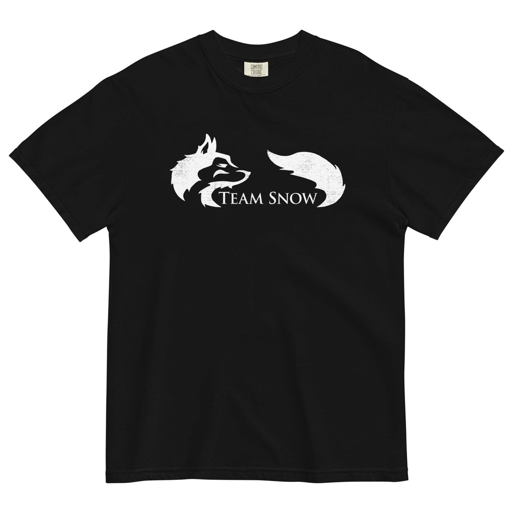 Team Snow Men's Relaxed Fit Tee product image 1
