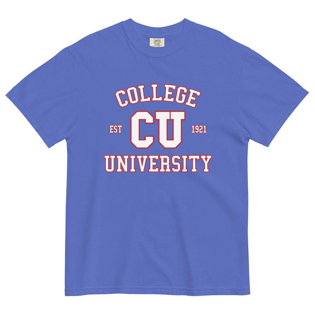 College University Men's Relaxed Fit Tee product image 5