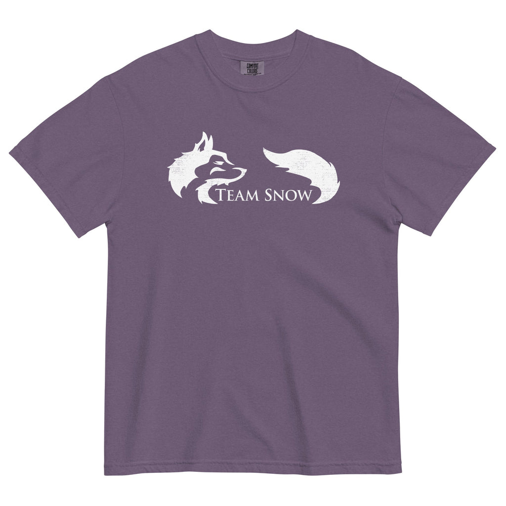 Team Snow Men's Relaxed Fit Tee product image 4