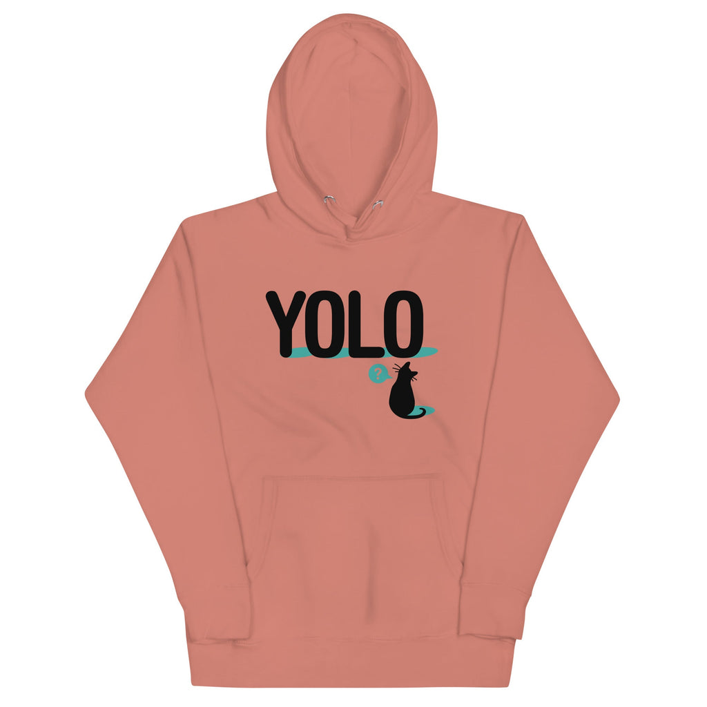 YOLO Cat Unisex Hoodie product image 4