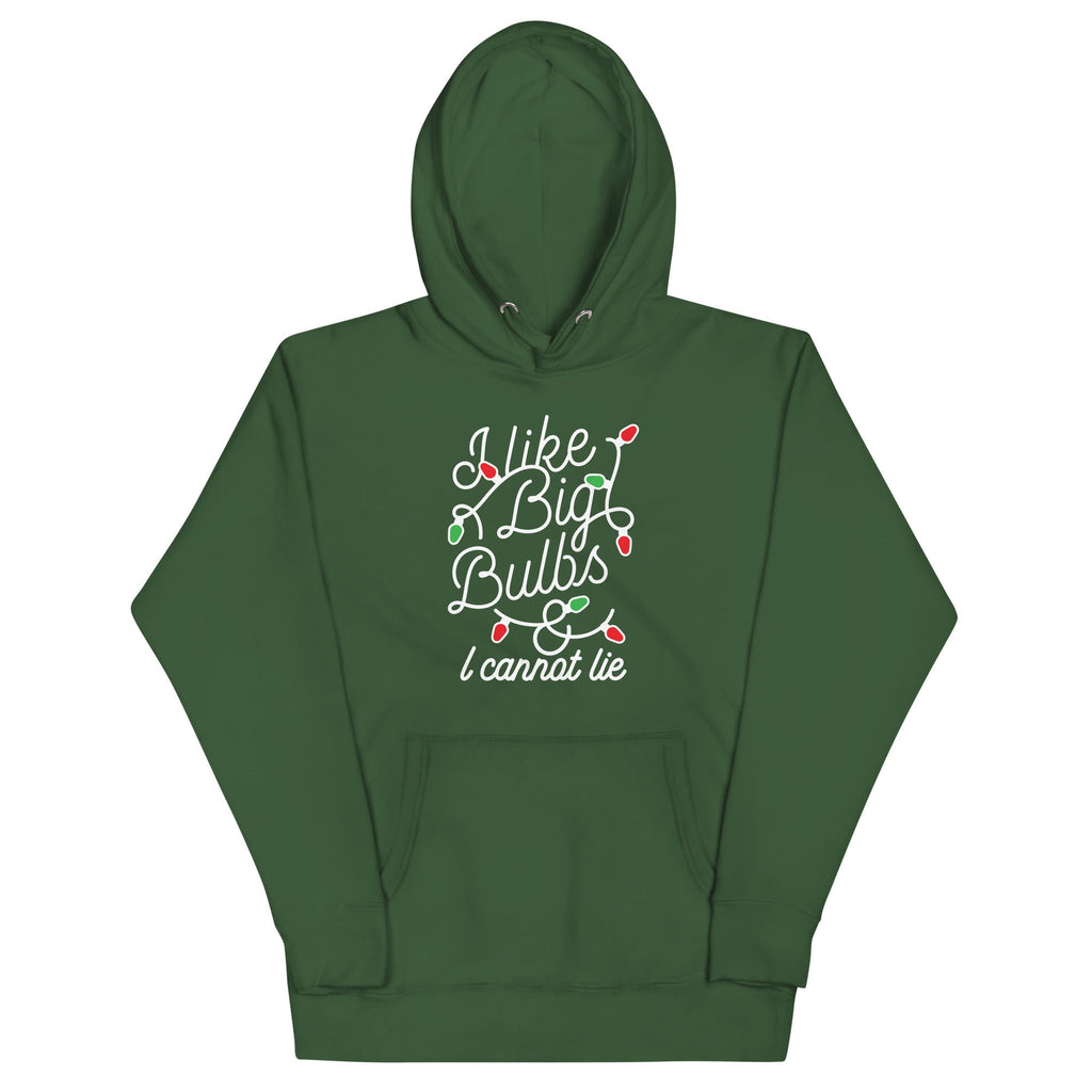 I Like Big Bulbs & I Cannot Lie Unisex Hoodie product image 7