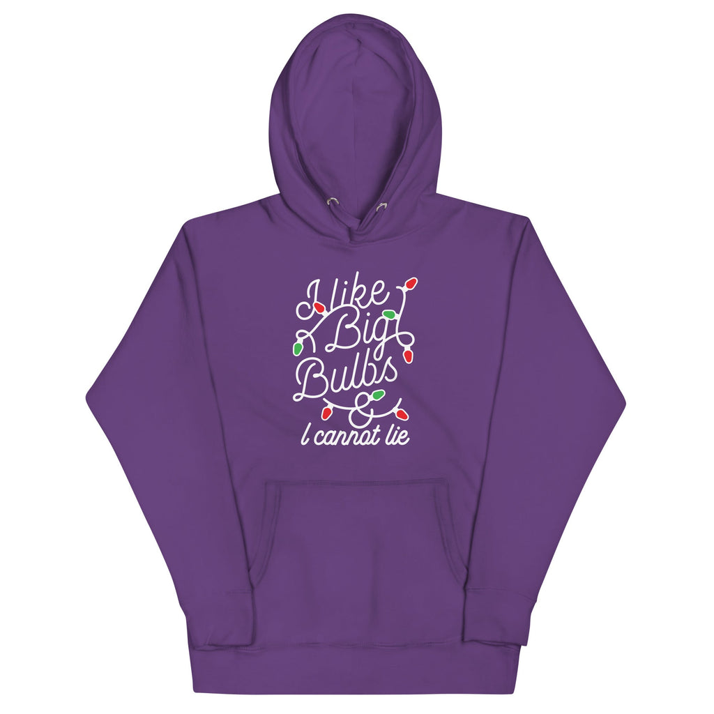 I Like Big Bulbs & I Cannot Lie Unisex Hoodie product image 6