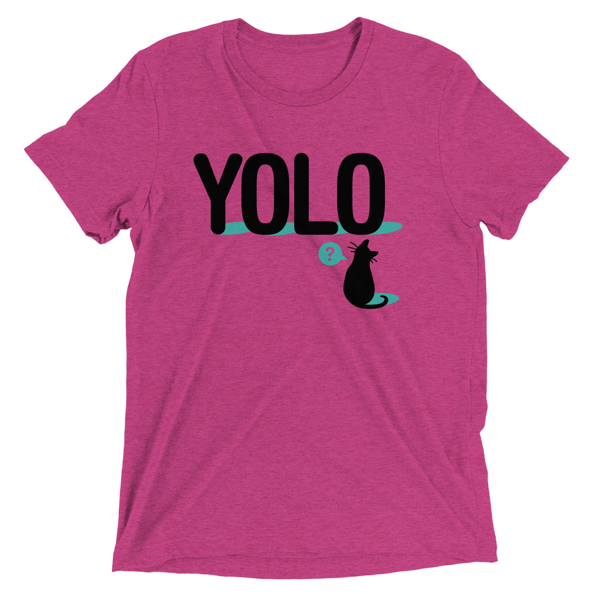 YOLO Cat Men's Tri-Blend Tee product image 1