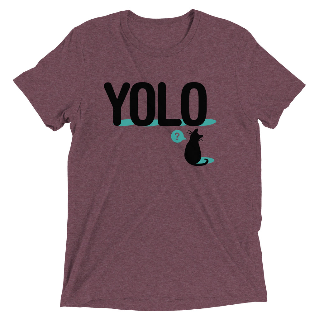 YOLO Cat Men's Tri-Blend Tee product image 3