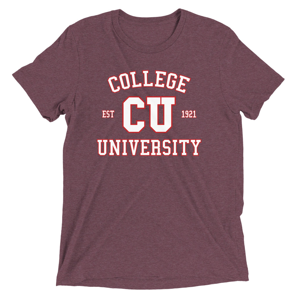 College University Men's Tri-Blend Tee product image 4