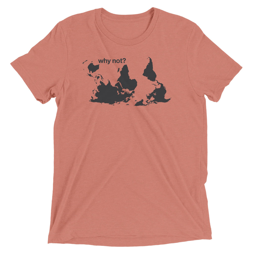 Why Not? Men's Tri-Blend Tee product image 4