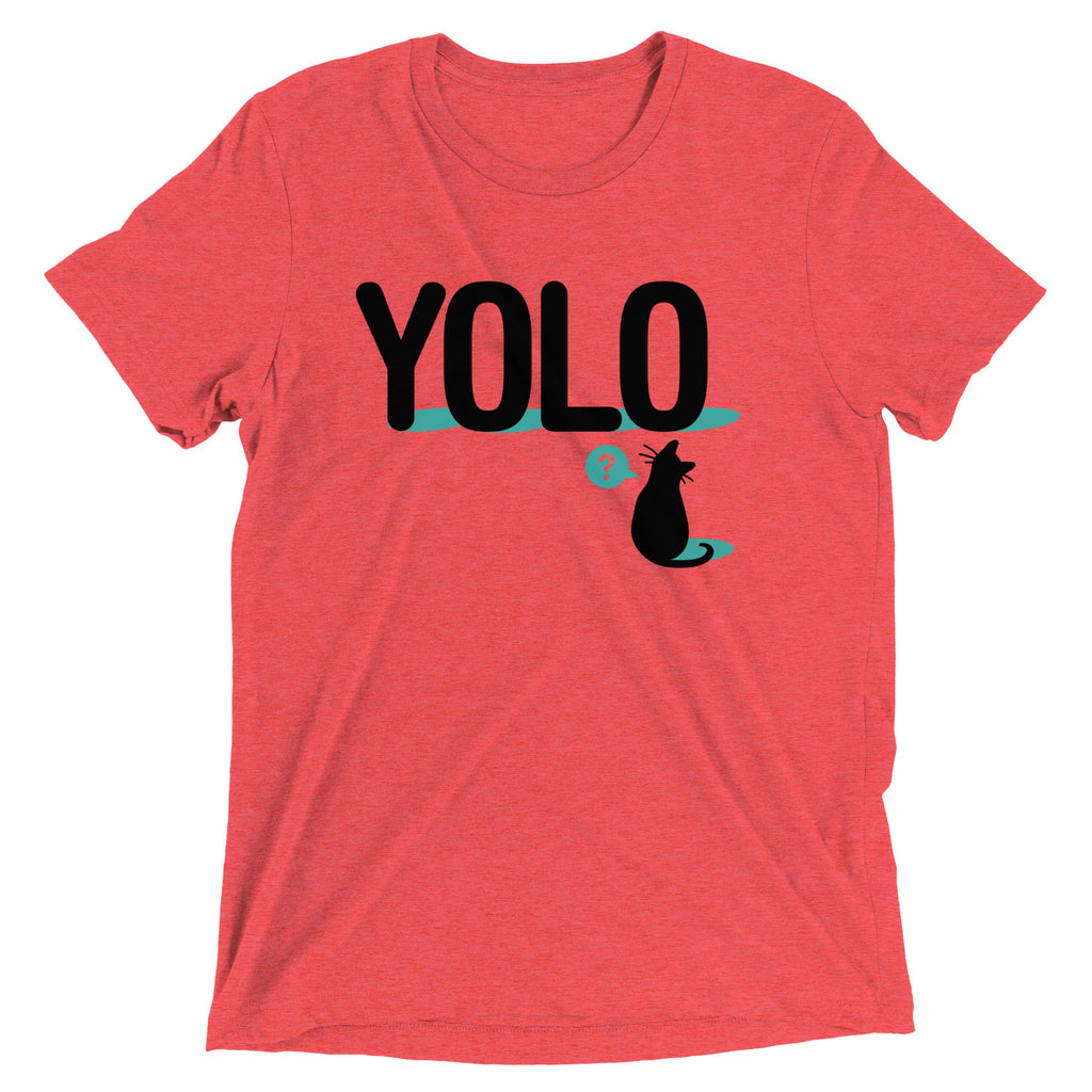 YOLO Cat Men's Tri-Blend Tee product image 4
