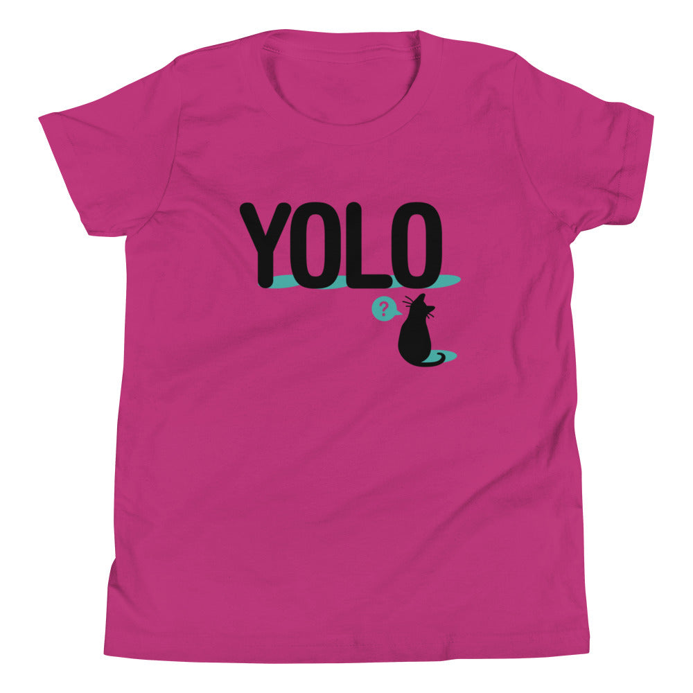 YOLO Cat Kid's Youth Tee product image 4