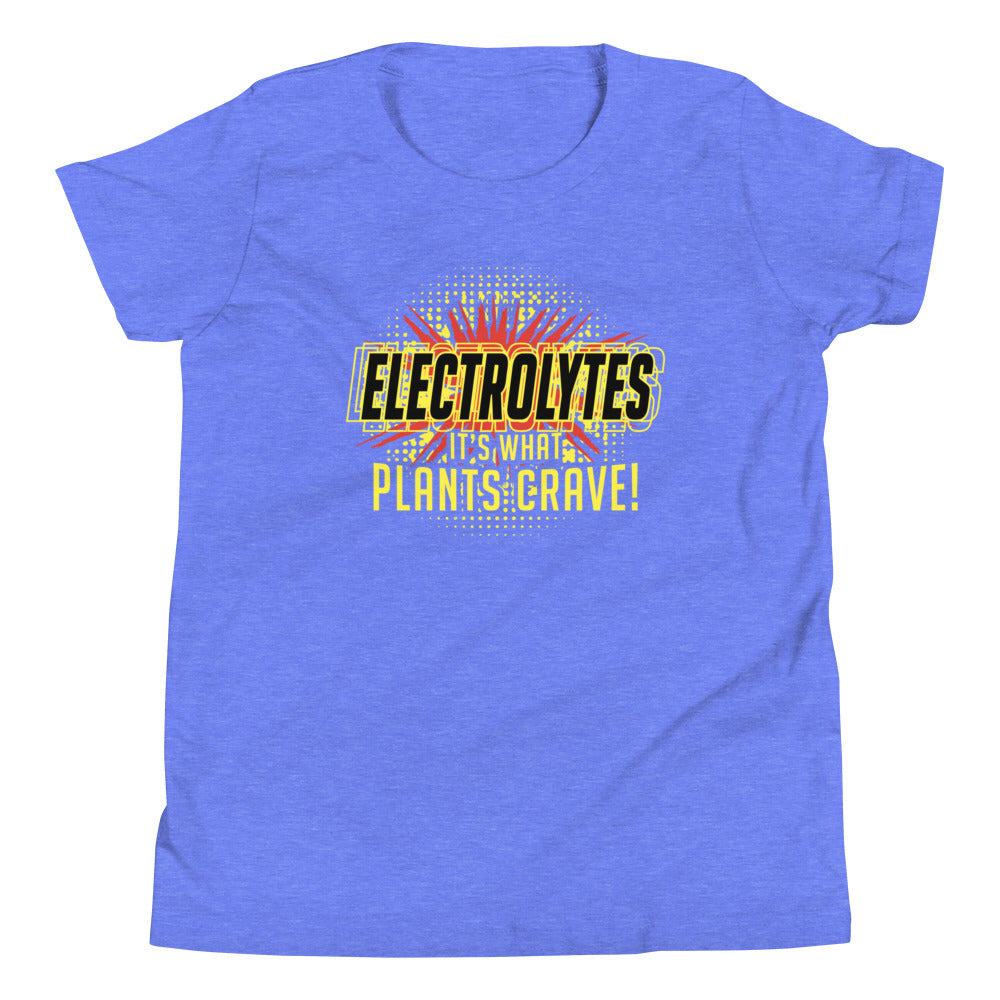 Electrolytes, It's What Plants Crave! Kid's Youth Tee product image 2