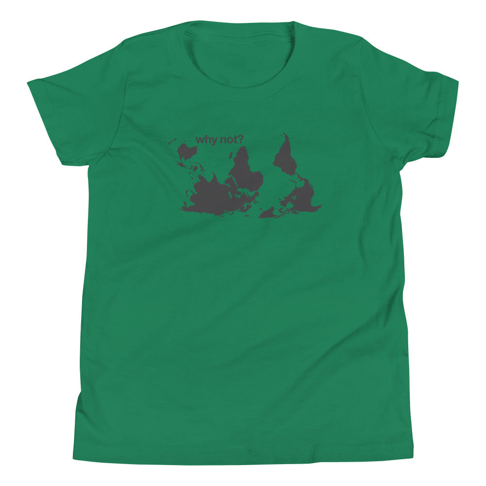 Why Not? Kid's Youth Tee product image 2